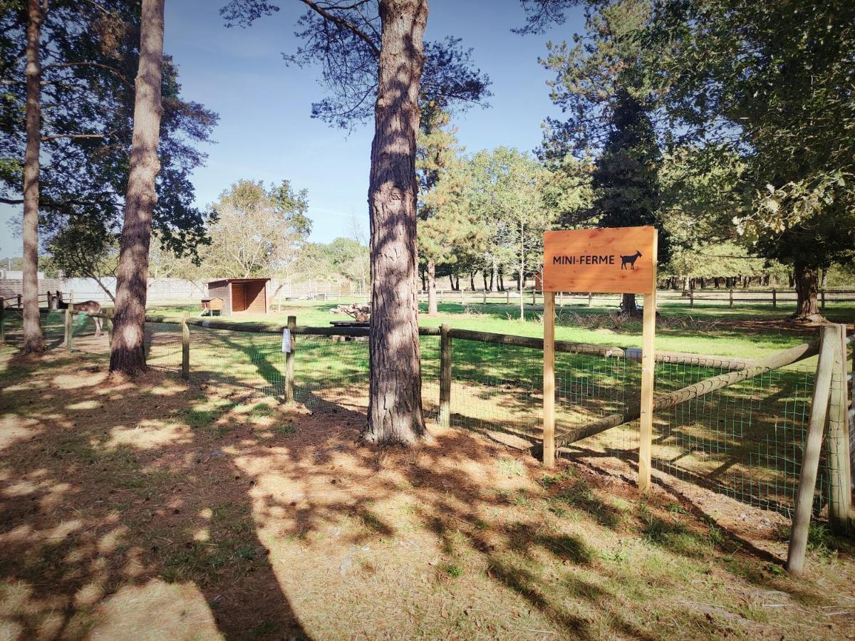Cosy Equipe Campsite