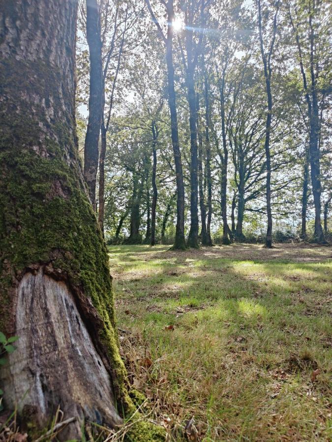 Cosy Equipe Campsite La Boissiere-de-Montaigu